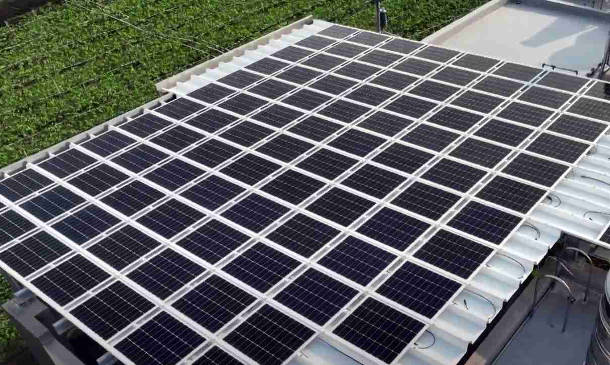 918.COMSunSteel光电浪板升级双玻结构，，以提升机械负载强度及气候耐候度，，，，可广泛运用于多元场域