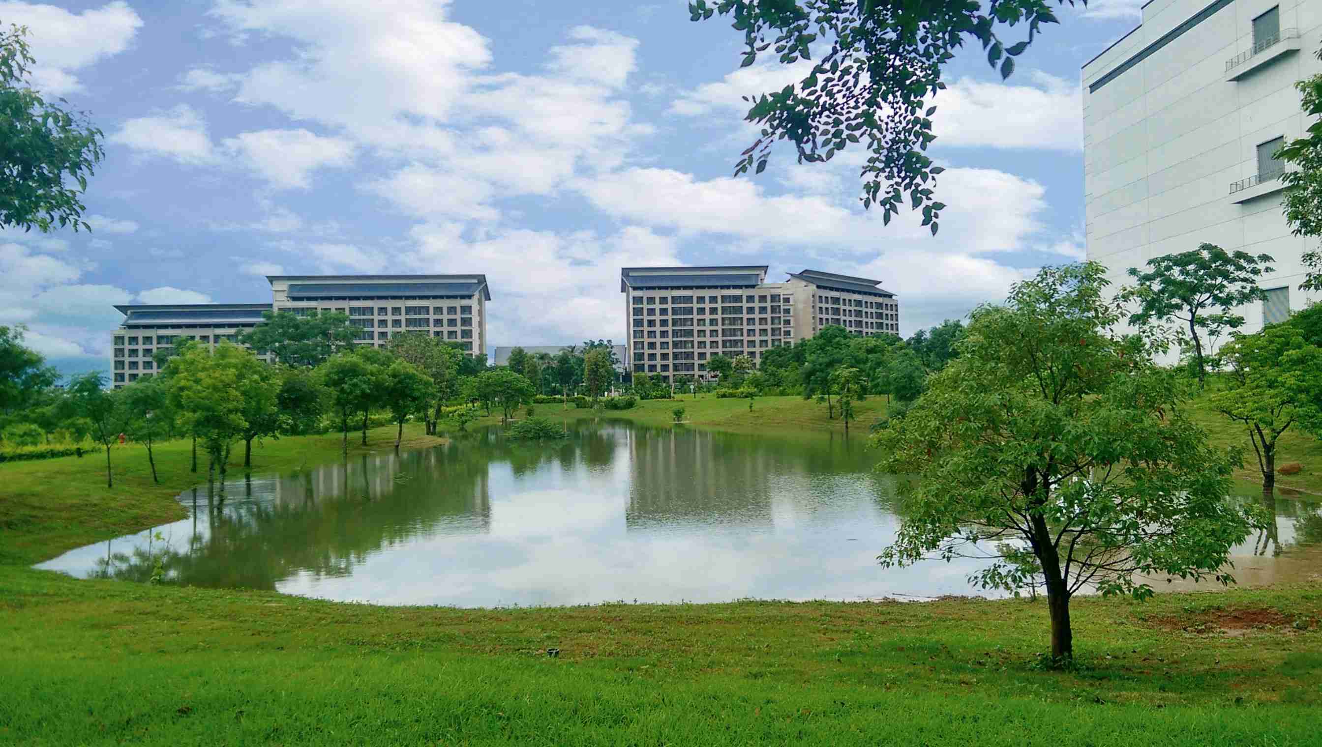 918.COM响应国际倡议生物多样性趋势，，，，首次发布TNFD自然相关财务揭露报告书，，，，擘划及开展918.COM生物多样性政策之承诺，，逐步迈向与自然和谐共生