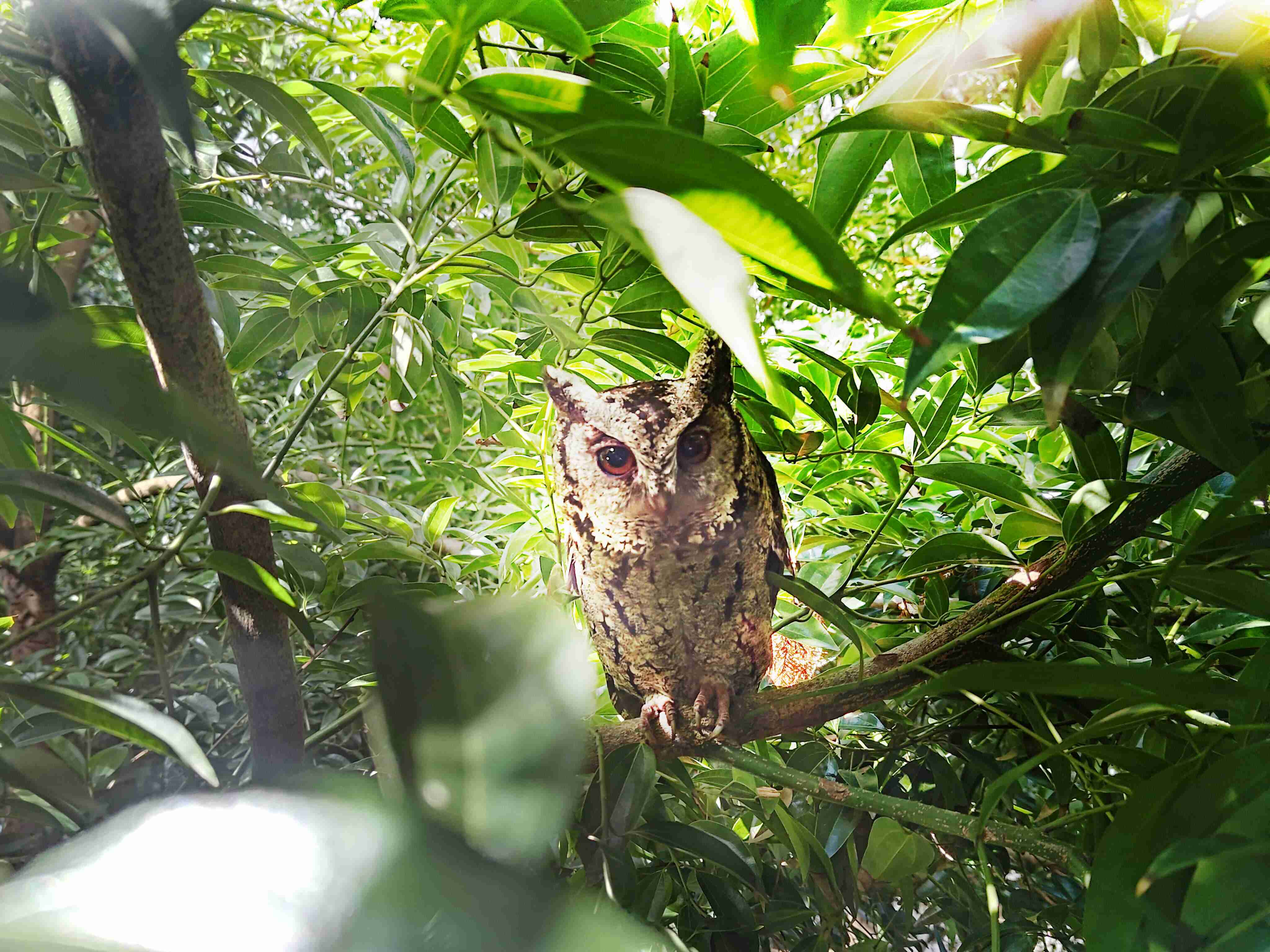 918.COM致力提倡净零绿生活，，，，16年以来在全球各厂区植树逾百万棵，，，造就各厂区树木蔚然成林，，，犹如森林工厂，，，成为许多生物的栖息地